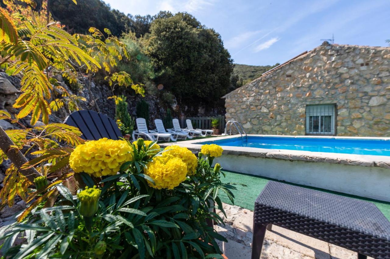 Casa Jurinea