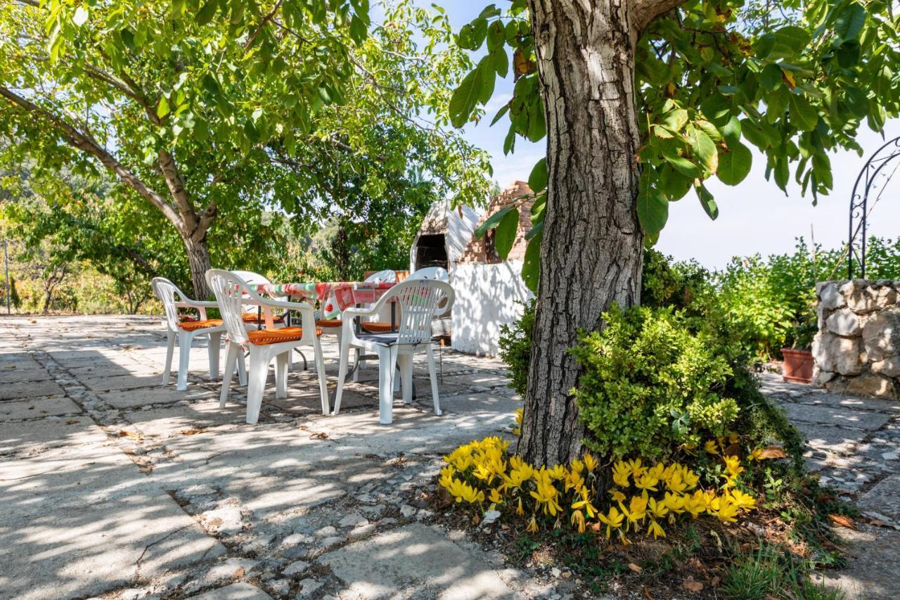 Casa Jurinea Country house *