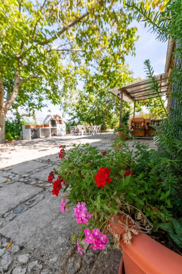 Country house Casa Jurinea *